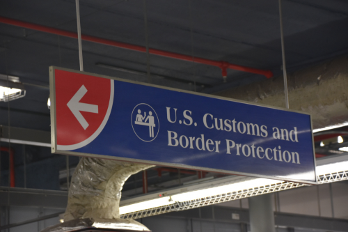 What Are My Options if CBP One Is Eliminated?