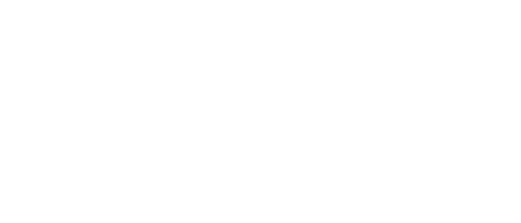 Goldstein White Logo